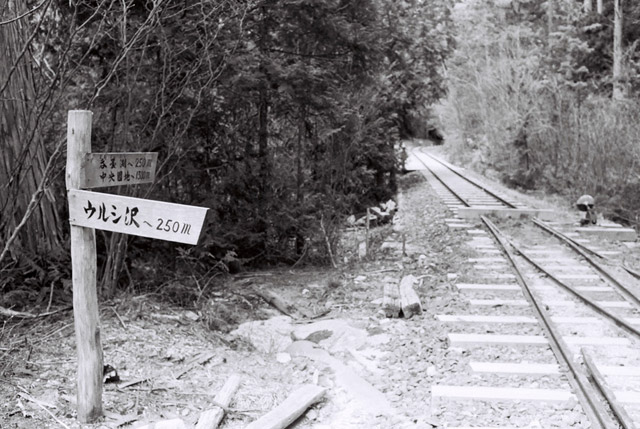 �ԑ�X�ѓS��,�ѓS,�I�_,�ێR�n��ԏ�