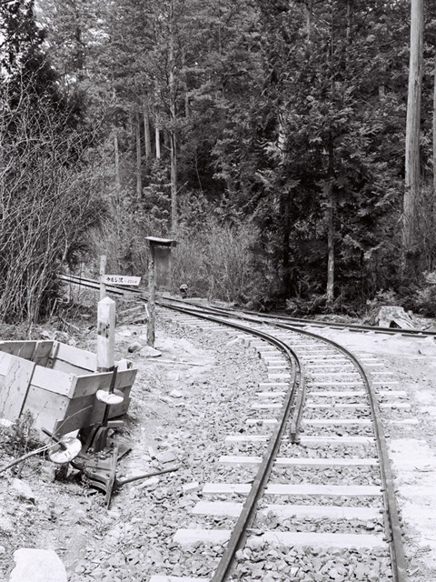 �ԑ򎩑R�x�{��,�ؑ]�X�ѓS��,�g���b�R