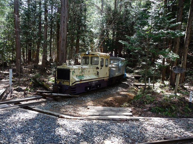 �ԑ򎩑R�x�{��,����@�֎�,�ԑ�X�ѓS��,�ѓS,SAKAI