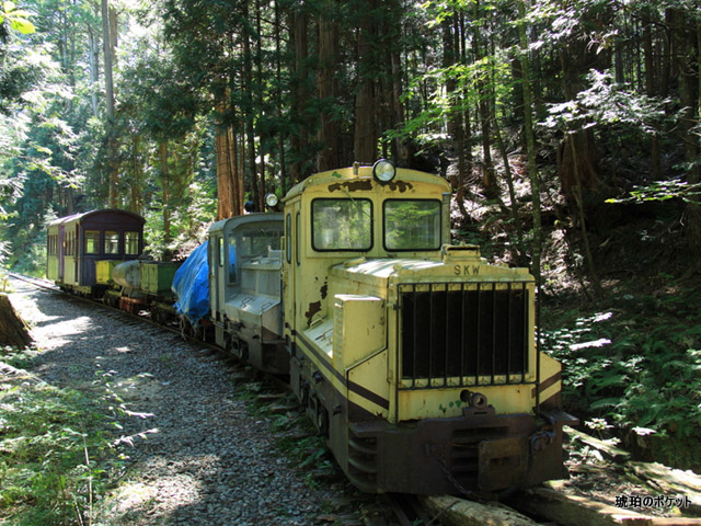 �ԑ򎩑R�x�{��,�g���b�R,�ԑ�X�ѓS��,�ѓS