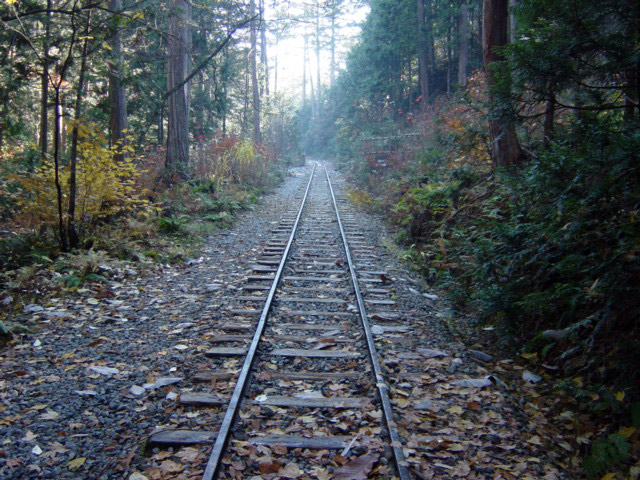 �ԑ򎩑R�x�{��,,���H,�ԑ�X�ѓS��,�ѓS