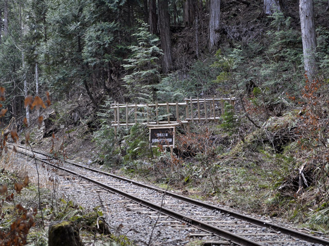 �ԑ򎩑R�x�{��,,���H,�ԑ�X�ѓS��,�ѓS