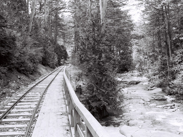 �ԑ򎩑R�x�{��,,�Q�[�g,�ԑ�X�ѓS��,�ѓS