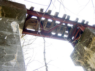 �������X�ѓS��,�ѓS,�p����,�O����,�k�ґ򋴗�,�A�C�r�[��,�K�[�_�[��