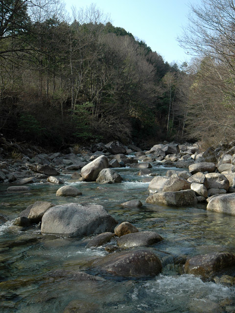 �������X�ѓS��,�ѓS,�p����,�O����,�k�ґ򋴗�,�k��,�ނ�