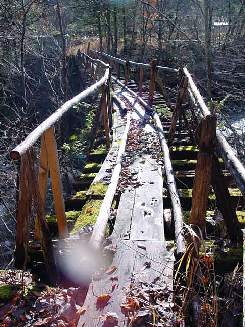 �������X�ѓS��,�ѓS,�p����,�i���[�O����,�k�ґ򋴗�,�����H,����