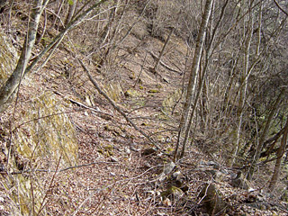 �k�ґ򋴗��[��ҋ�����