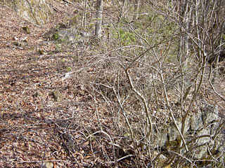 �k�ґ򋴗��[��ҋ�����