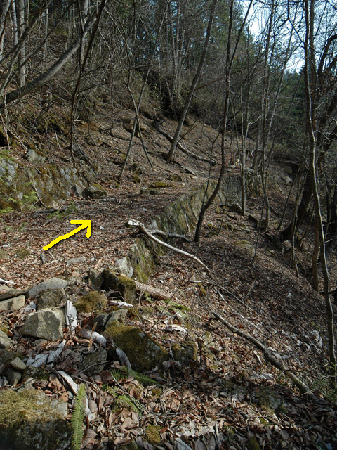 �k�ґ򋴗��[��ҋ�����