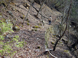 �k�ґ򋴗��[��ҋ�����