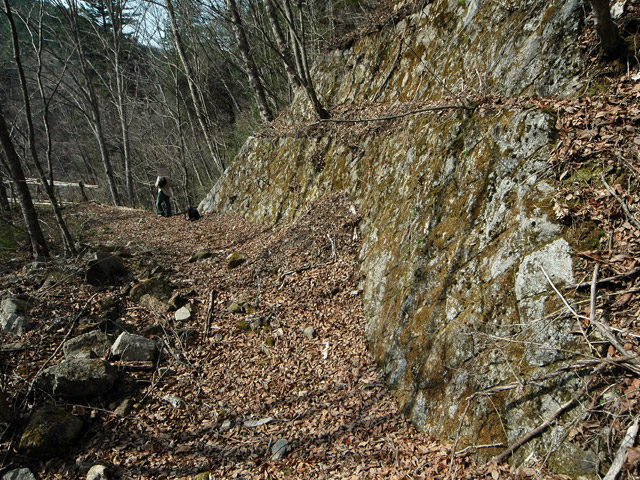 �k�ґ򋴗��[��ҋ�����