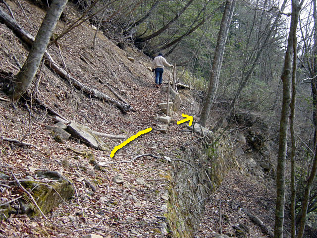 �k�ґ򋴗��[��ҋ�����