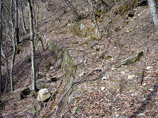 �k�ґ򋴗��[��ҋ�����