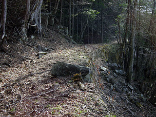 �k�ґ򋴗��[��ҋ�����