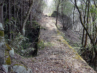 �k�ґ򋴗��[��ҋ�����