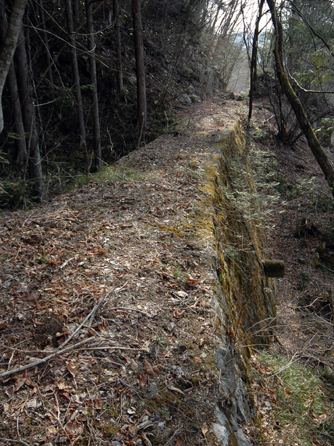 �k�ґ򋴗��[��ҋ�����