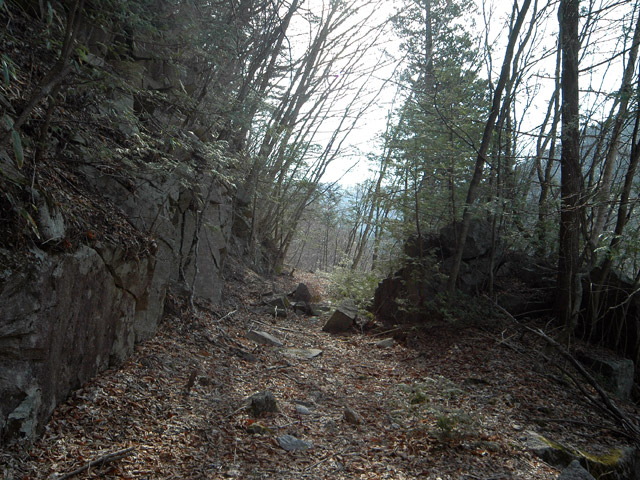 �k�ґ򋴗��[��ҋ�����