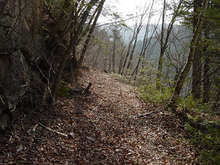 �k�ґ򋴗��[��ҋ�����