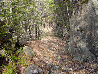 �k�ґ򋴗��[��ҋ�����