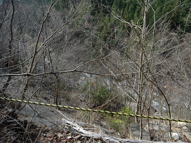 �k�ґ򋴗��[��ҋ�����