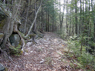 �k�ґ򋴗��[��ҋ�����