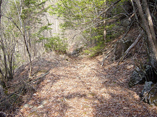 �k�ґ򋴗��[��ҋ�����