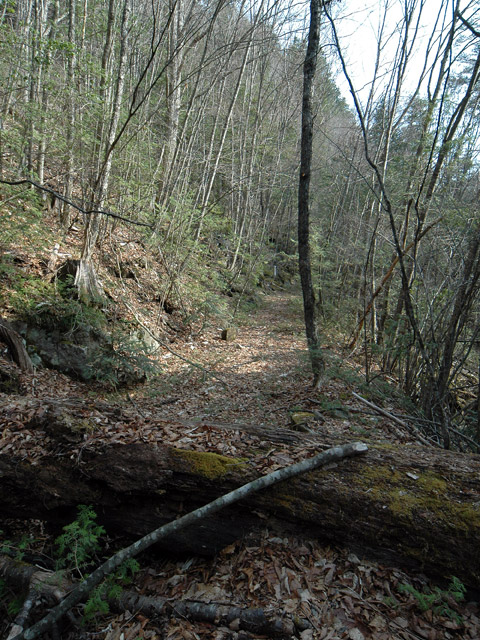 �k�ґ򋴗��[��ҋ�����