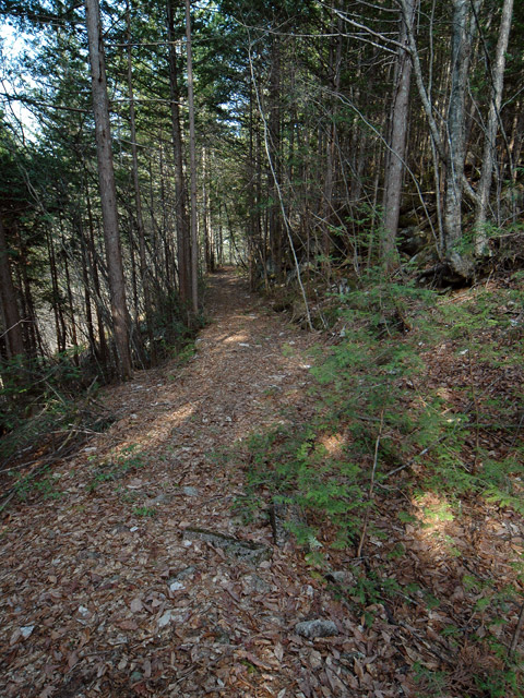 �k�ґ򋴗��[��ҋ�����