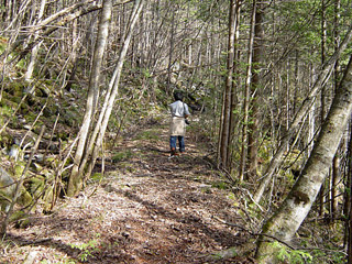 �k�ґ򋴗��[��ҋ�����