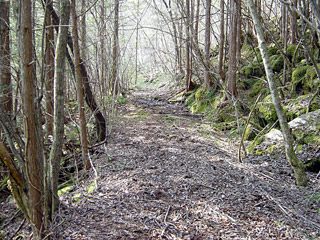 �k�ґ򋴗��[��ҋ�����