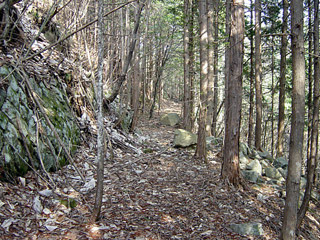 �k�ґ򋴗��[��ҋ�����