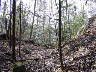 �k�ґ򋴗��[��ҋ�����