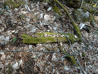 �k�ґ򋴗��[��ҋ�����