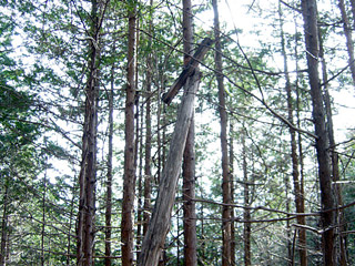 �k�ґ򋴗��[��ҋ�����