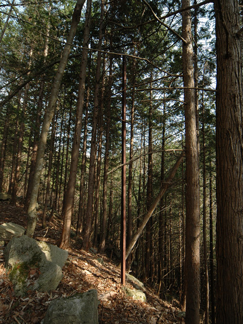 �k�ґ򋴗��[��ҋ�����