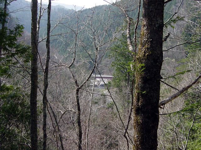 ��ҋ�����