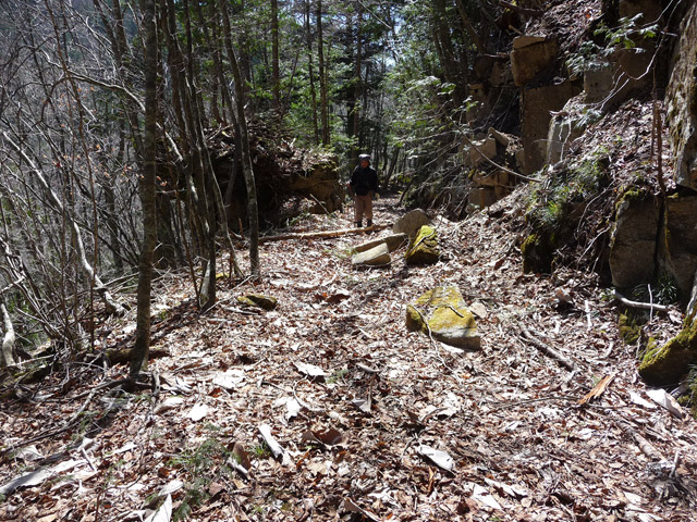 �������X�ѓS���u��ҋ����Ձ[�w���W1�v