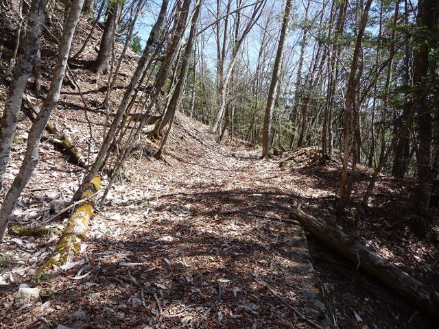 �������X�ѓS���u��ҋ����Ձ[�w���W1�v