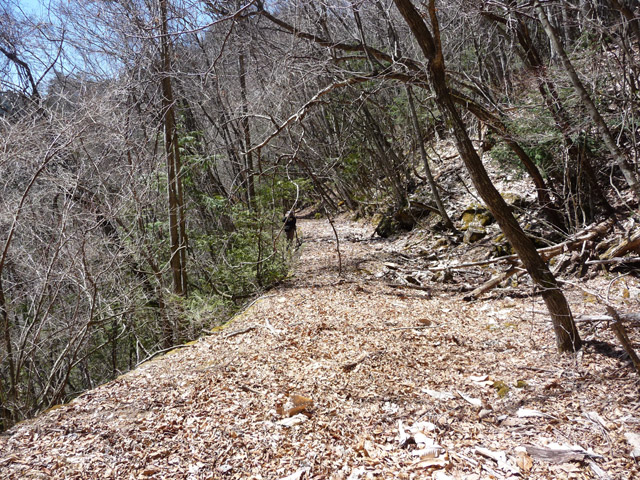 �������X�ѓS���u��ҋ����Ձ[�w���W1�v