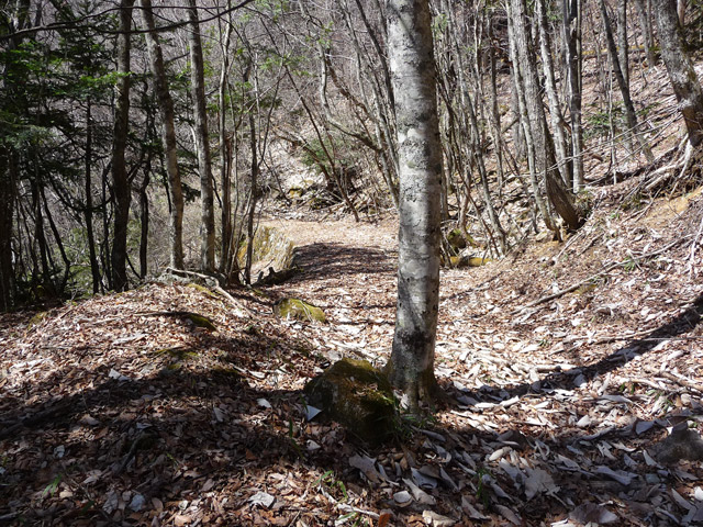 �������X�ѓS���u��ҋ����Ձ[�w���W1�v