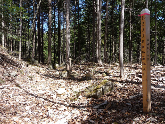 �������X�ѓS���u��ҋ����Ձ[�w���W1�v