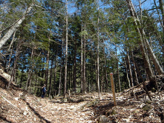 �������X�ѓS���u��ҋ����Ձ[�w���W1�v