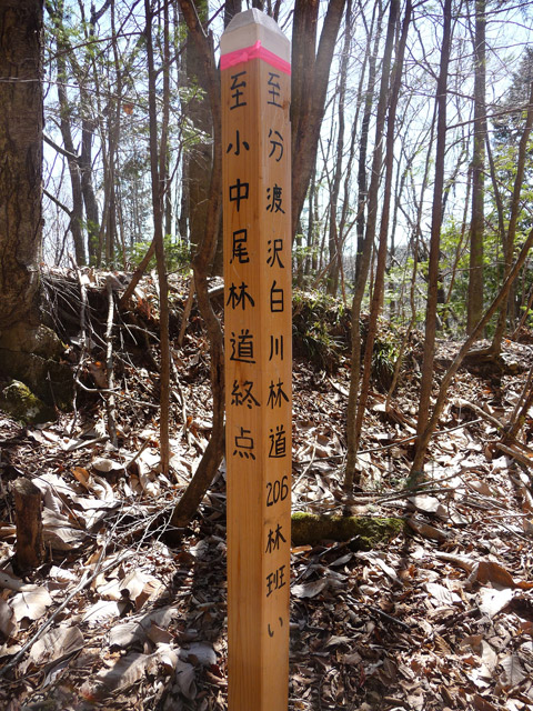 �������X�ѓS���u��ҋ����Ձ[�w���W1�v