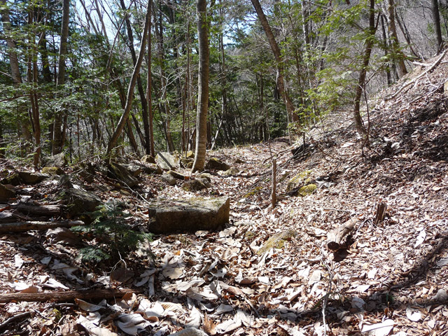 �������X�ѓS���u��ҋ����Ձ[�w���W1�v