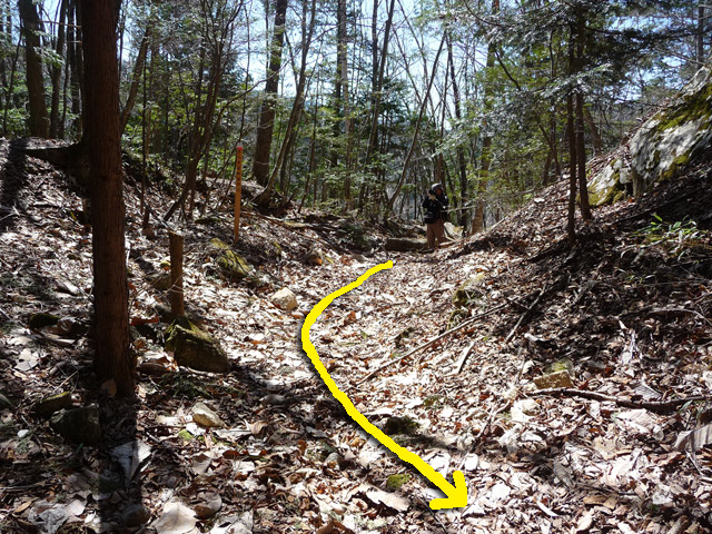 �������X�ѓS���u��ҋ����Ձ[�w���W1�v