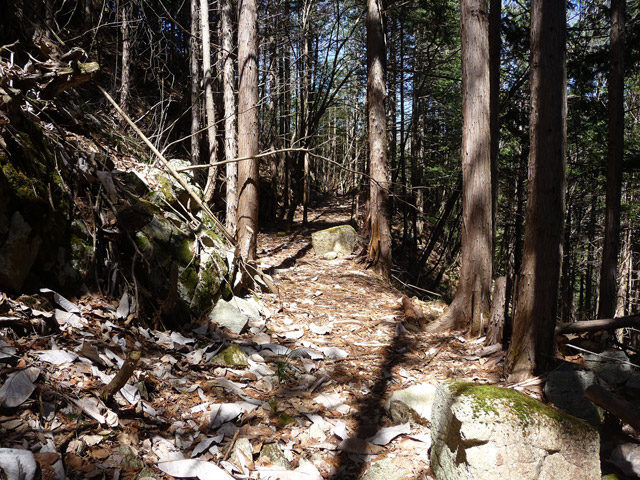 �������X�ѓS���u�w���W1�[�ԓ������v