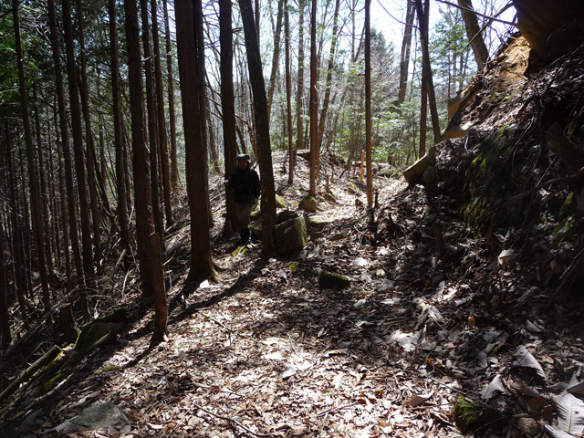 �������X�ѓS���u�w���W1�[�ԓ������v