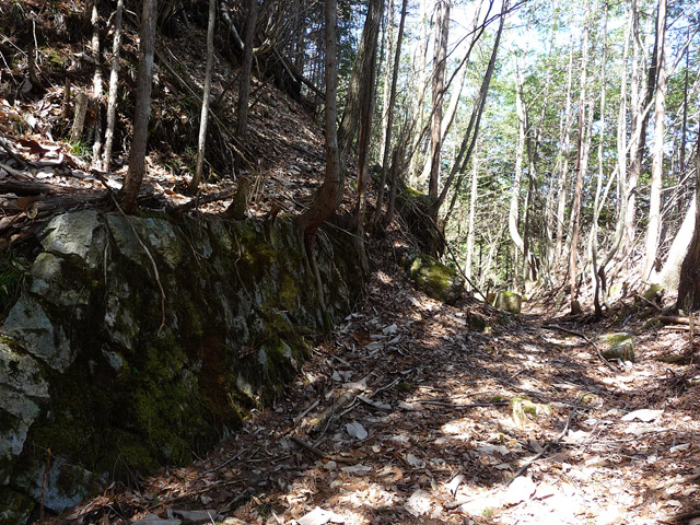 �������X�ѓS���u�w���W1�[�ԓ������v