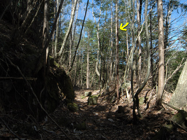 �������X�ѓS���u�w���W1�[�ԓ������v