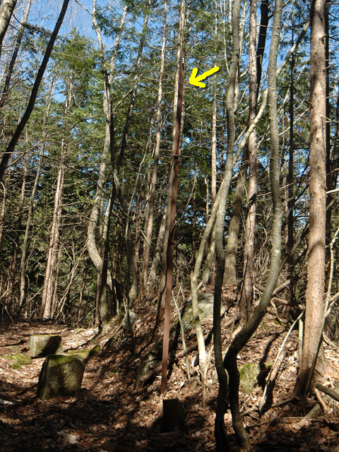 �������X�ѓS���u�w���W1�[�ԓ������v